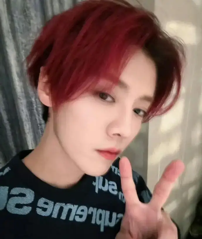 鹿晗被曝將缺席綜藝《五哈》錄制