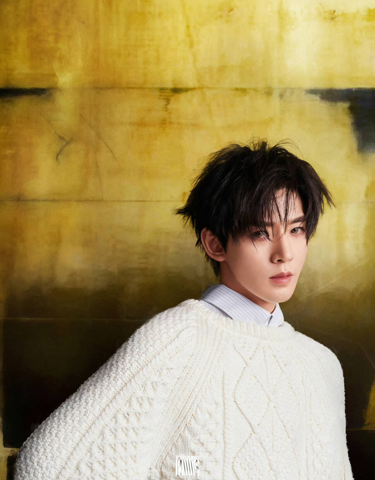 d652f50b67eb309b2544ada422f23438_720.png 鄧為費(fèi)加羅封面/芒果體育